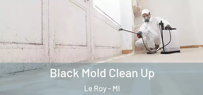  Black Mold Clean Up Le Roy - MI