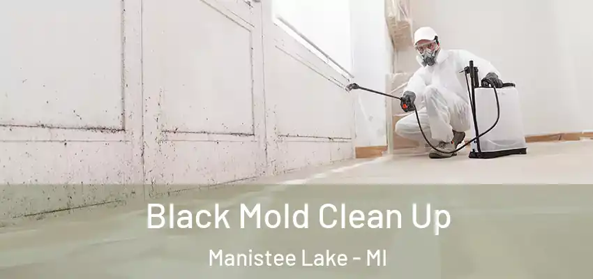  Black Mold Clean Up Manistee Lake - MI