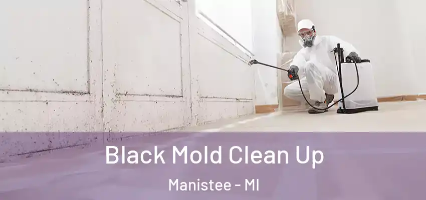  Black Mold Clean Up Manistee - MI