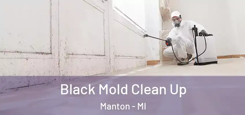 Black Mold Clean Up Manton - MI