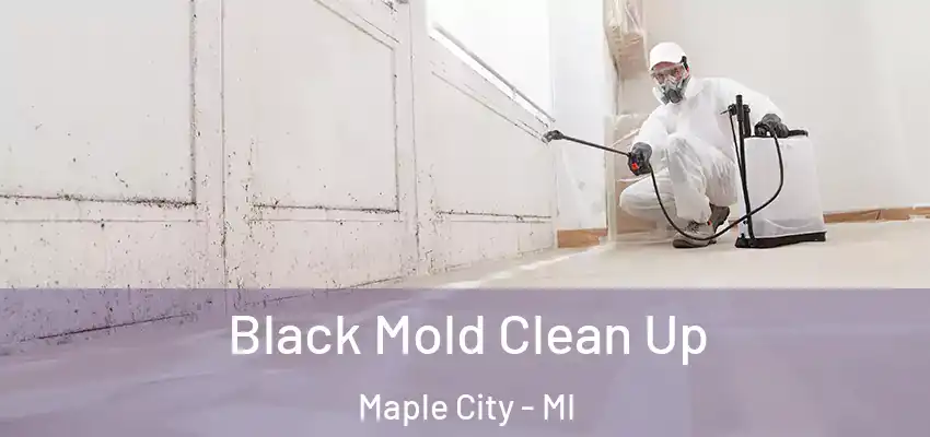  Black Mold Clean Up Maple City - MI