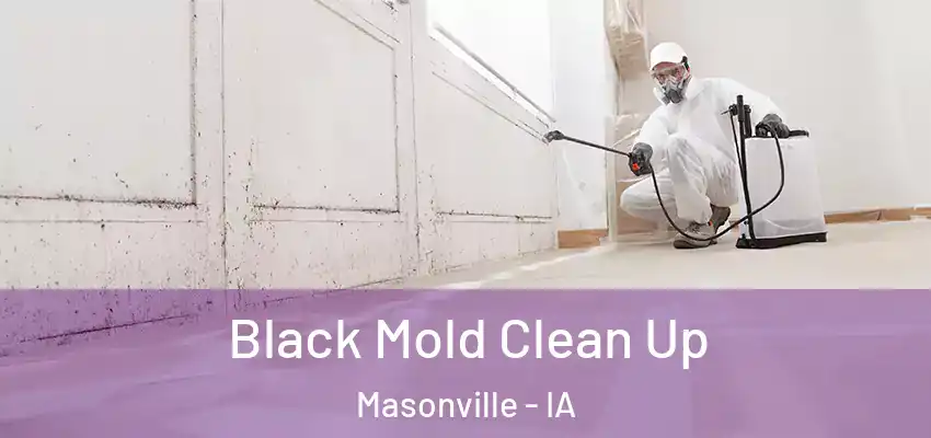  Black Mold Clean Up Masonville - IA