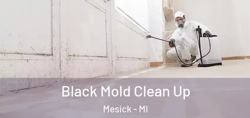 Black Mold Clean Up Mesick - MI