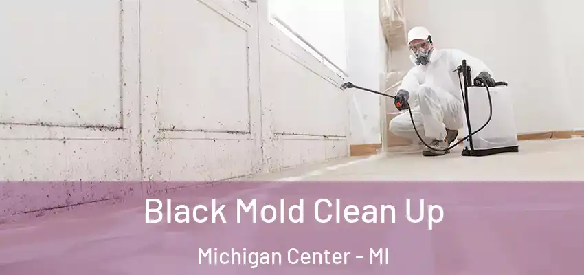  Black Mold Clean Up Michigan Center - MI
