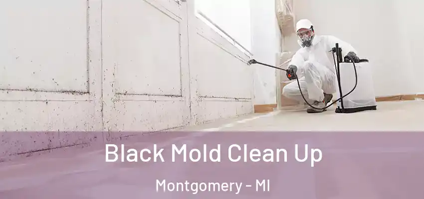  Black Mold Clean Up Montgomery - MI