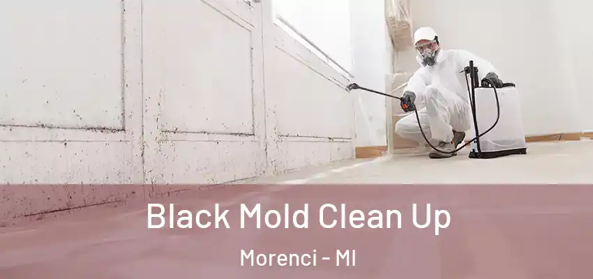  Black Mold Clean Up Morenci - MI