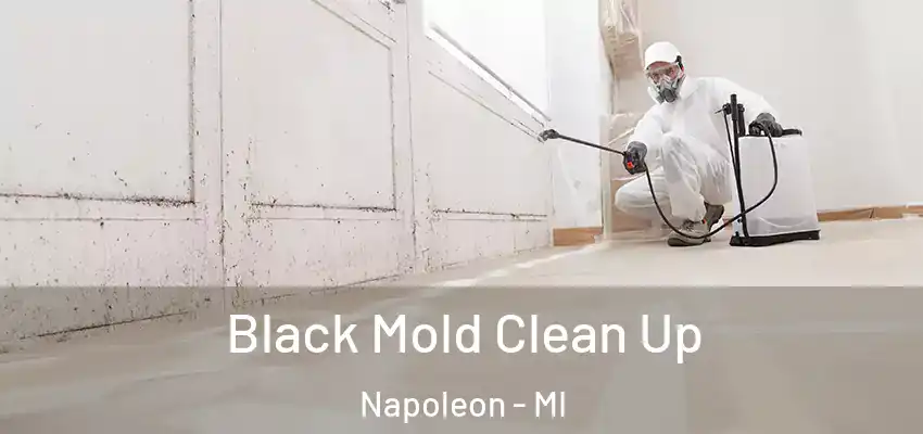  Black Mold Clean Up Napoleon - MI