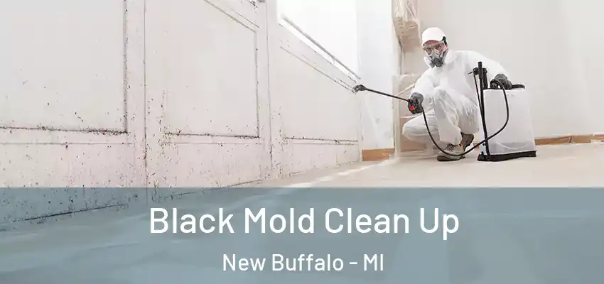  Black Mold Clean Up New Buffalo - MI