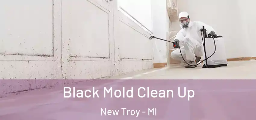  Black Mold Clean Up New Troy - MI