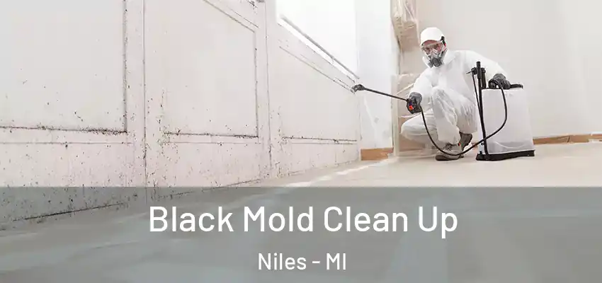 Black Mold Clean Up Niles - MI
