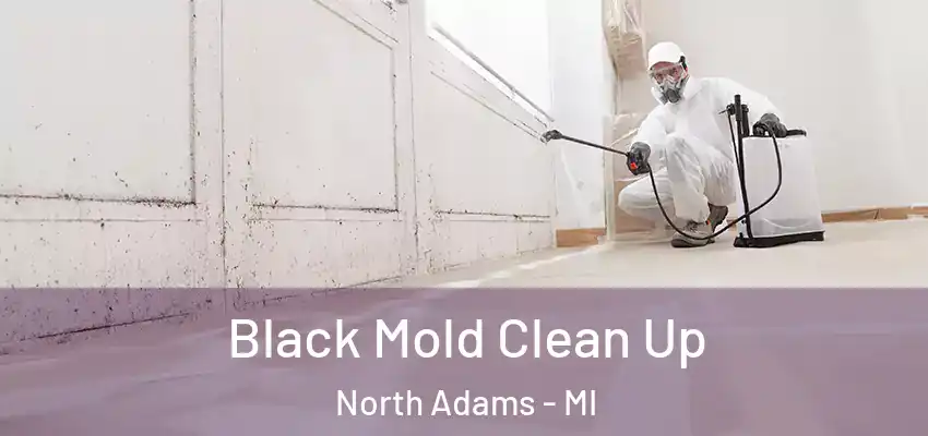 Black Mold Clean Up North Adams - MI