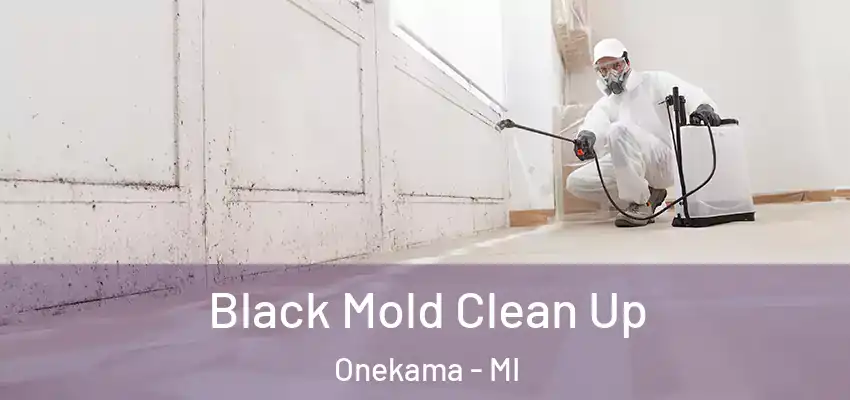 Black Mold Clean Up Onekama - MI