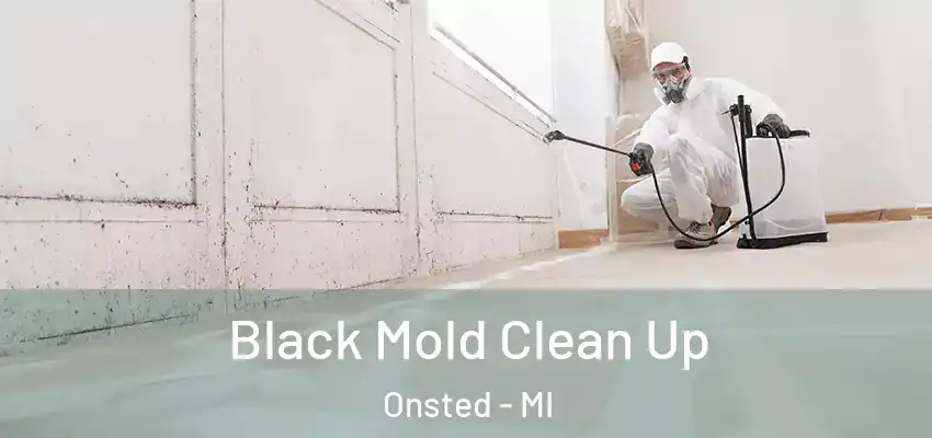  Black Mold Clean Up Onsted - MI