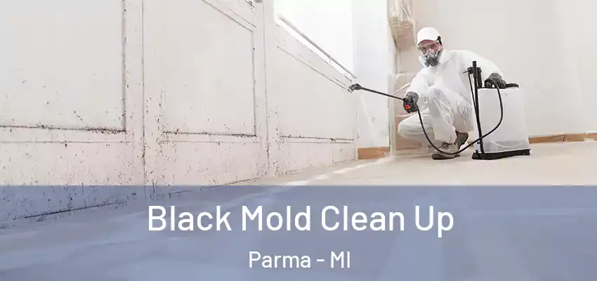Black Mold Clean Up Parma - MI