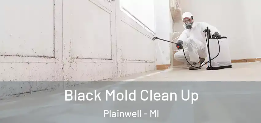 Black Mold Clean Up Plainwell - MI