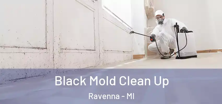  Black Mold Clean Up Ravenna - MI