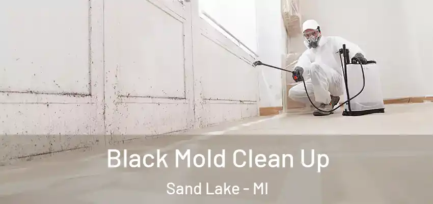 Black Mold Clean Up Sand Lake - MI