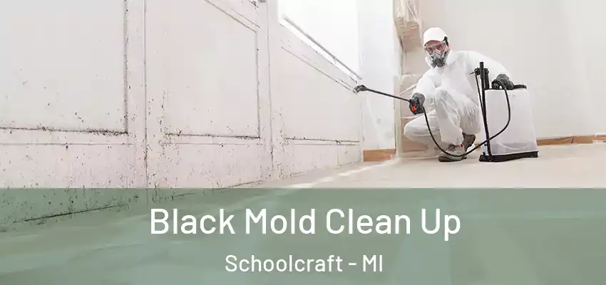 Black Mold Clean Up Schoolcraft - MI