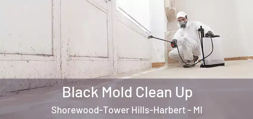  Black Mold Clean Up Shorewood-Tower Hills-Harbert - MI