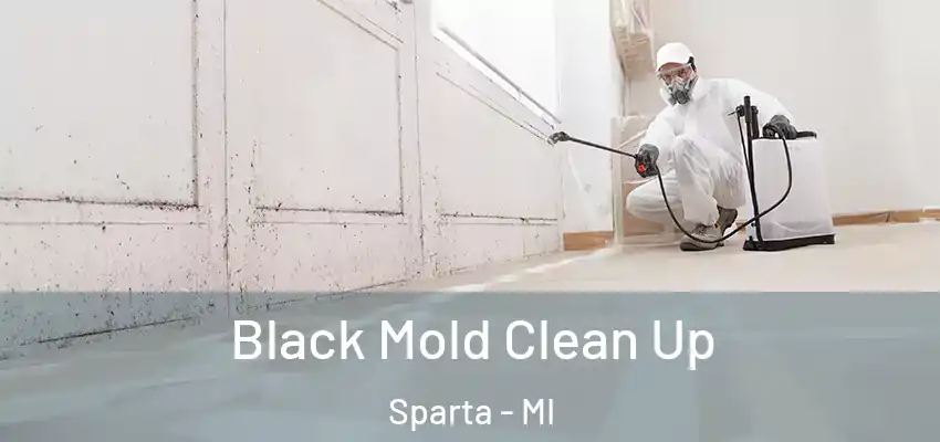  Black Mold Clean Up Sparta - MI