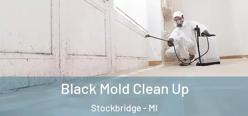  Black Mold Clean Up Stockbridge - MI