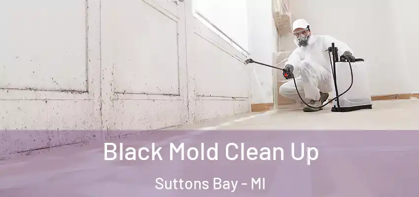  Black Mold Clean Up Suttons Bay - MI