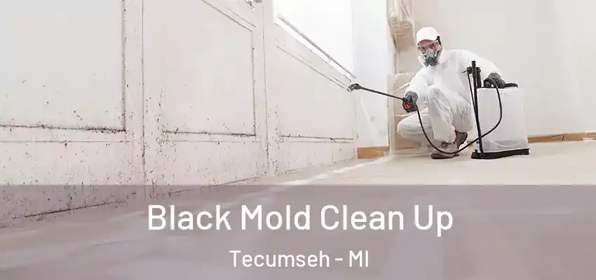 Black Mold Clean Up Tecumseh - MI