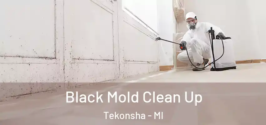 Black Mold Clean Up Tekonsha - MI
