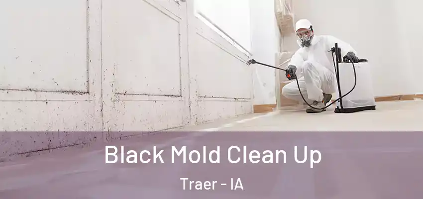  Black Mold Clean Up Traer - IA