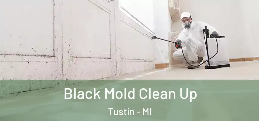  Black Mold Clean Up Tustin - MI
