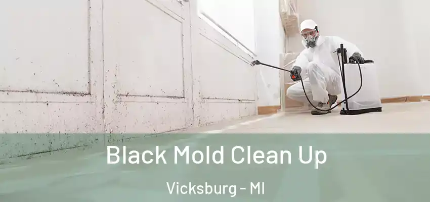  Black Mold Clean Up Vicksburg - MI