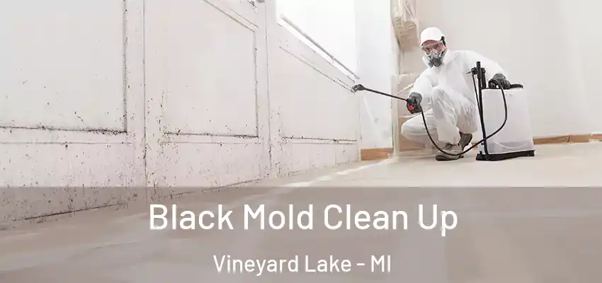  Black Mold Clean Up Vineyard Lake - MI