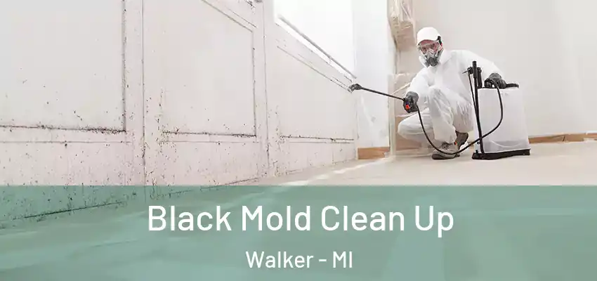 Black Mold Clean Up Walker - MI