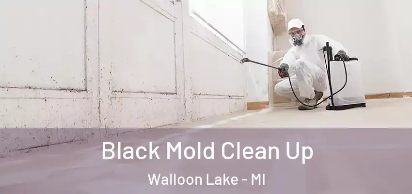  Black Mold Clean Up Walloon Lake - MI