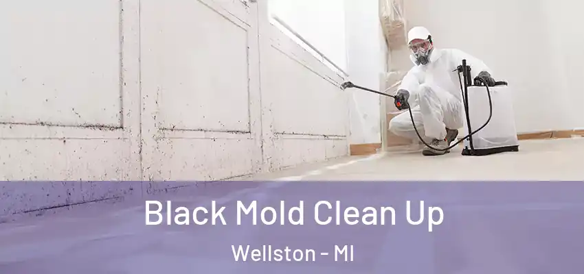  Black Mold Clean Up Wellston - MI