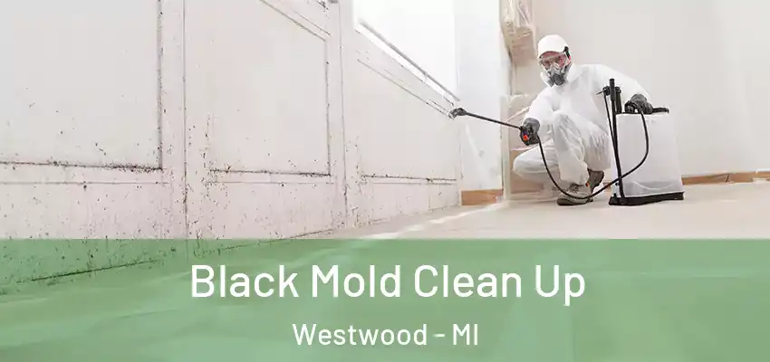 Black Mold Clean Up Westwood - MI