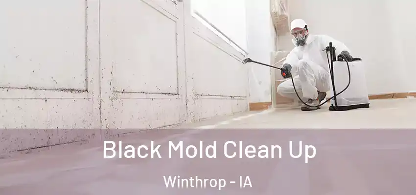  Black Mold Clean Up Winthrop - IA