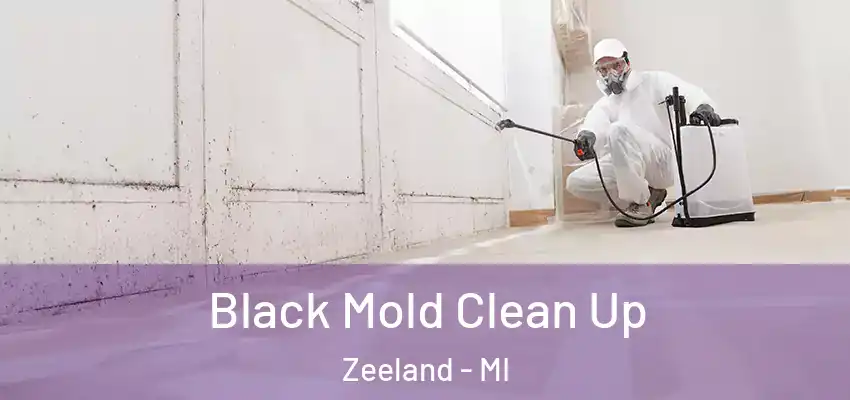 Black Mold Clean Up Zeeland - MI