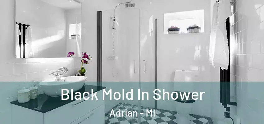  Black Mold In Shower Adrian - MI