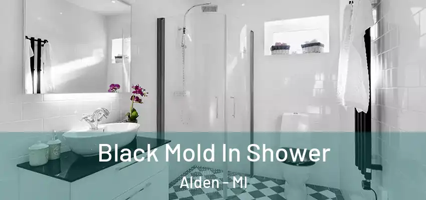  Black Mold In Shower Alden - MI