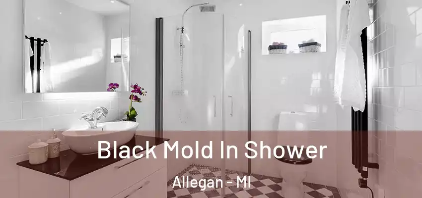  Black Mold In Shower Allegan - MI