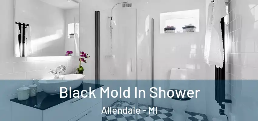  Black Mold In Shower Allendale - MI