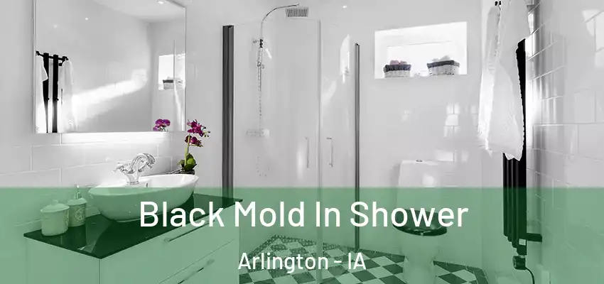  Black Mold In Shower Arlington - IA