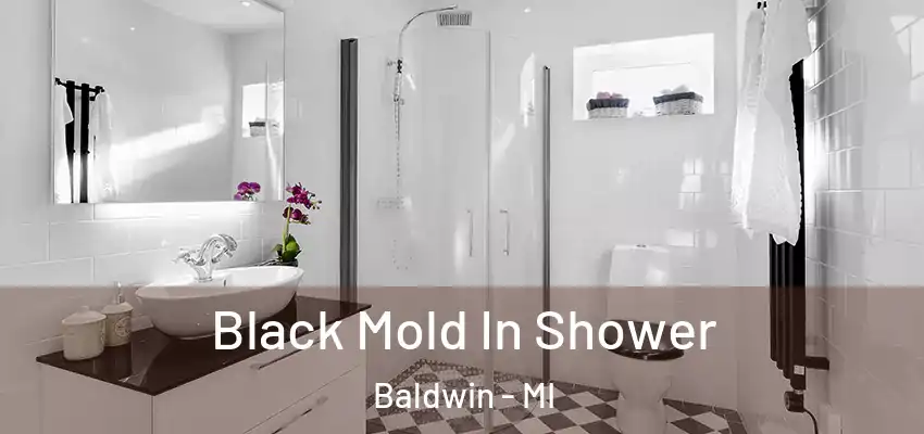  Black Mold In Shower Baldwin - MI