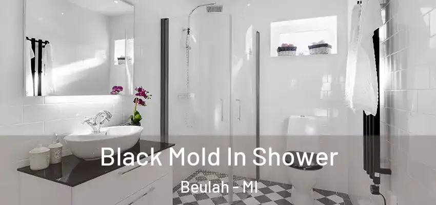  Black Mold In Shower Beulah - MI