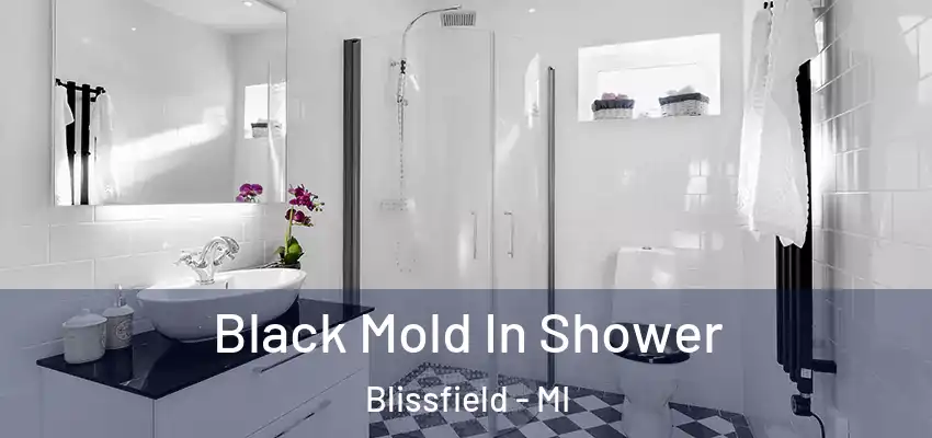  Black Mold In Shower Blissfield - MI