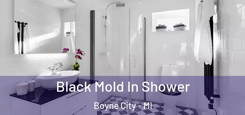  Black Mold In Shower Boyne City - MI