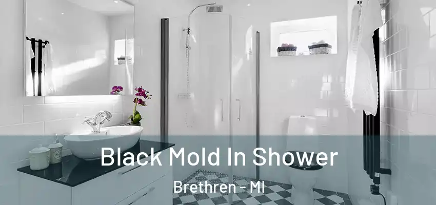  Black Mold In Shower Brethren - MI