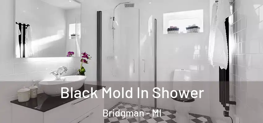  Black Mold In Shower Bridgman - MI