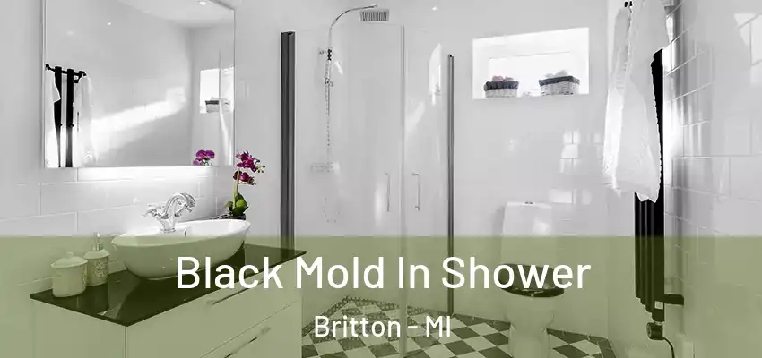  Black Mold In Shower Britton - MI